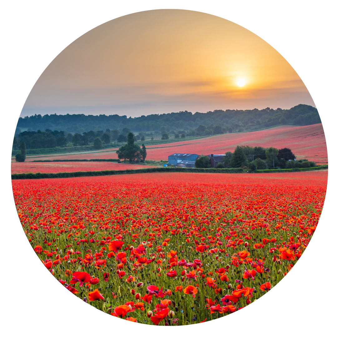 Kidderminster engineers and hgv drivers 